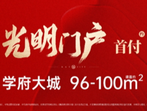建面约96-100㎡臻装大三房