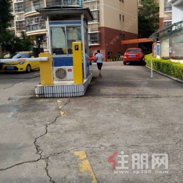 格林春天