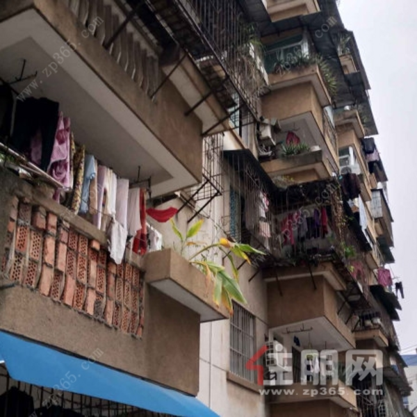 江南市政府宿舍