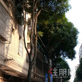 21世纪万旺商住楼