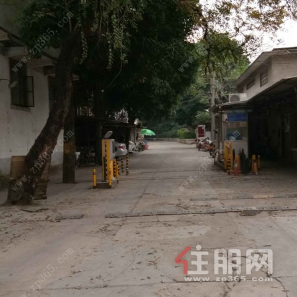 民印小区