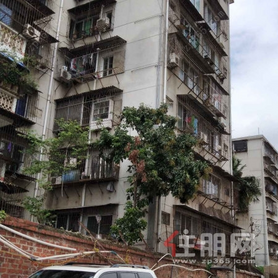 崇左国税局宿舍