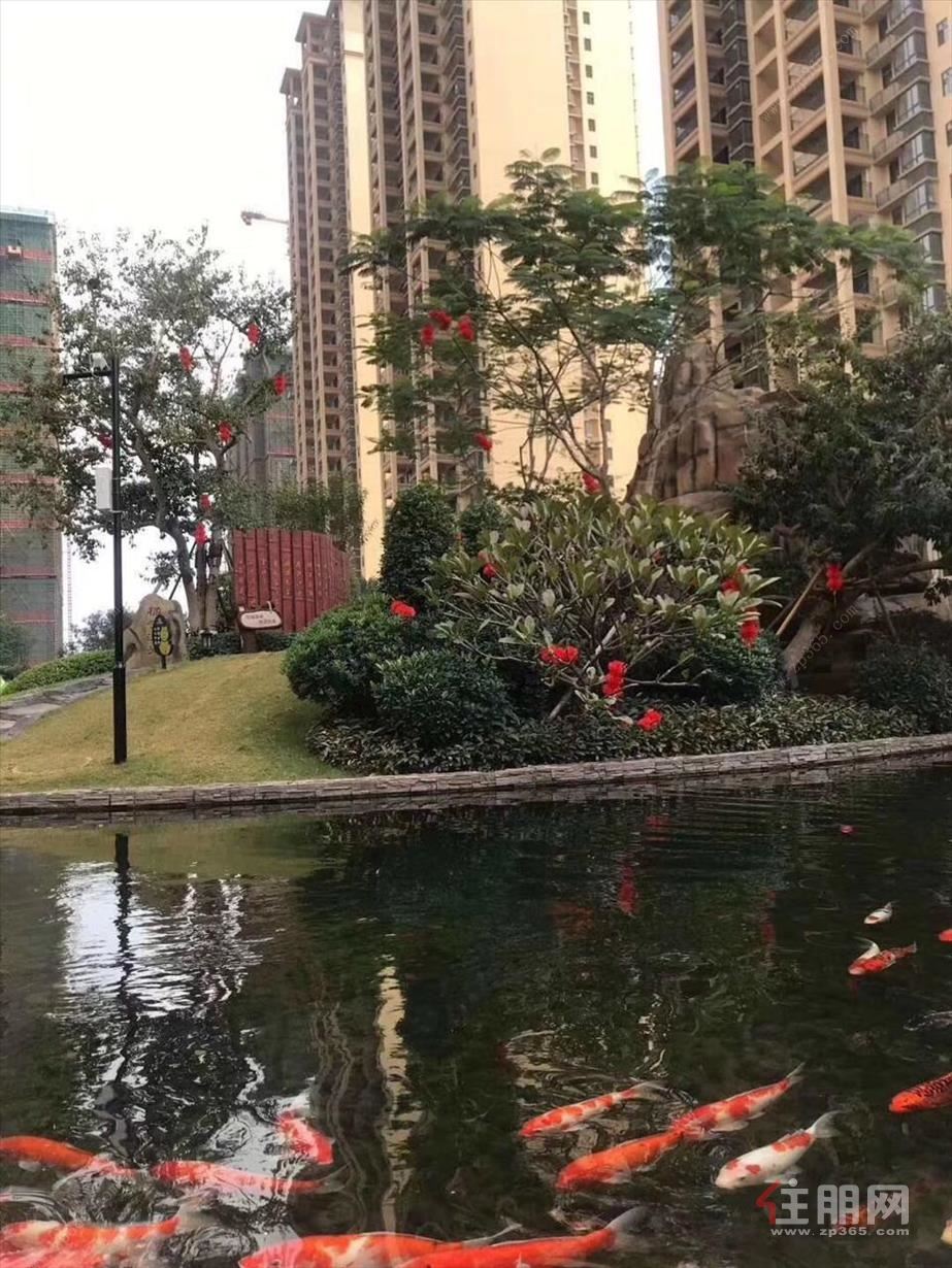 万昌·东方巴黎湖岸罗佳置业顾问名片