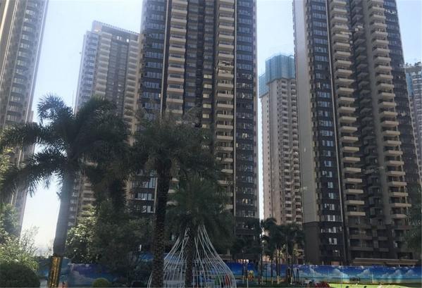 点评图片