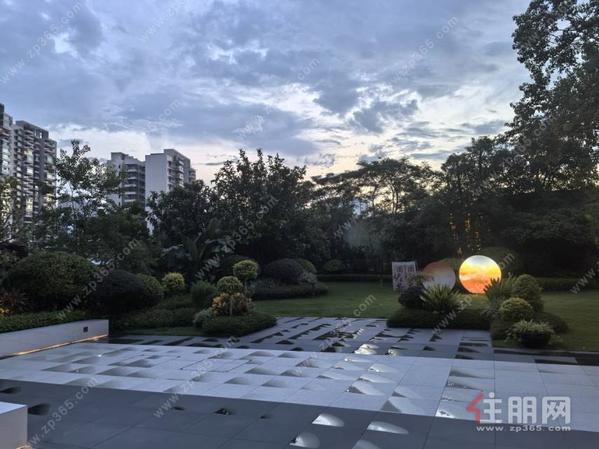 点评图片