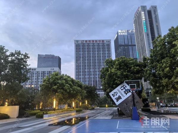 点评图片