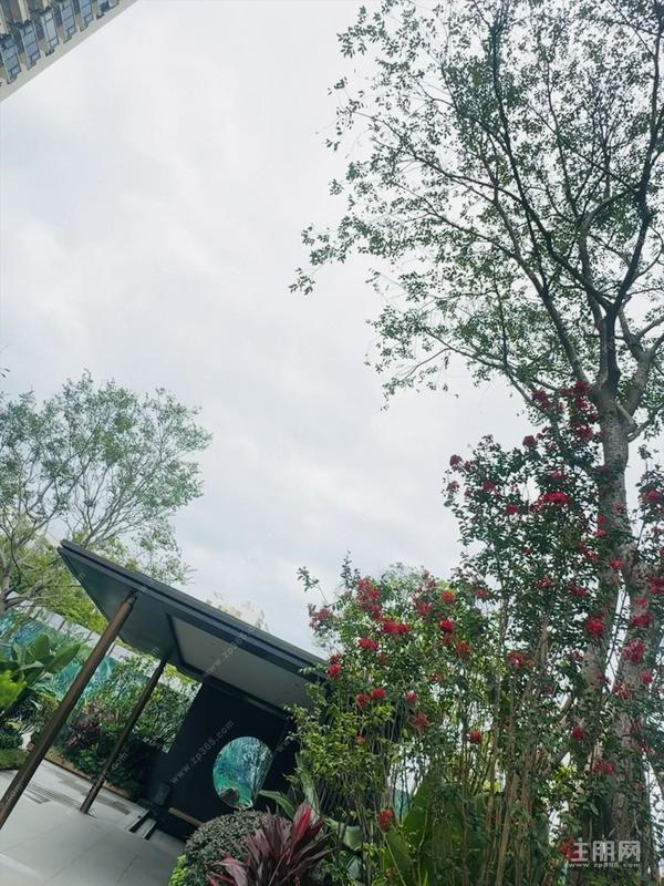点评图片
