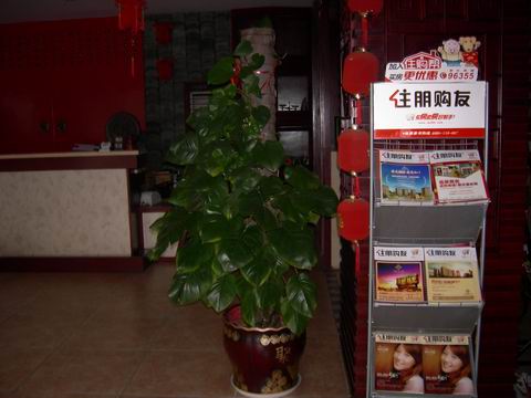 茗湖茶庄