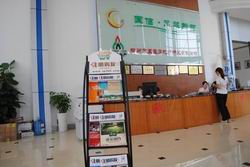 国际.凤起新都