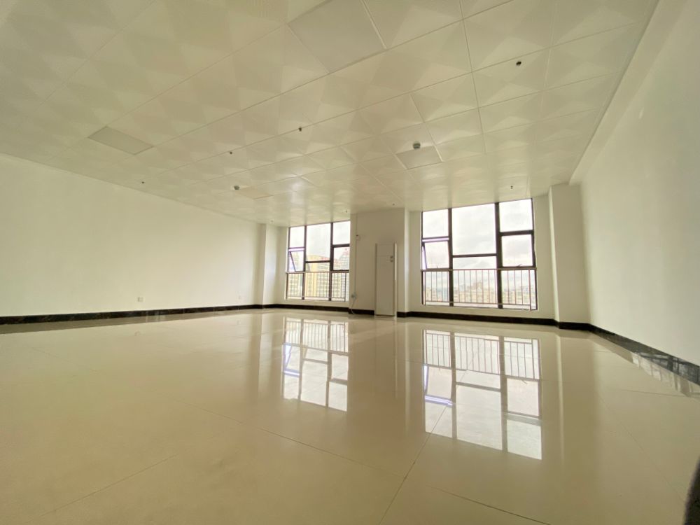 高新技术开发区 浩宇国际写字楼 88平 901