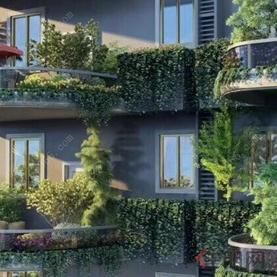 金沙街黄金商铺，限时抢购