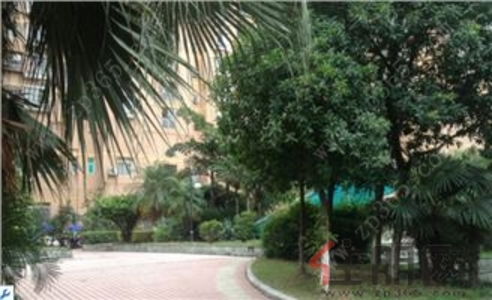 城中区-柳州市书香园一房一厅出租
