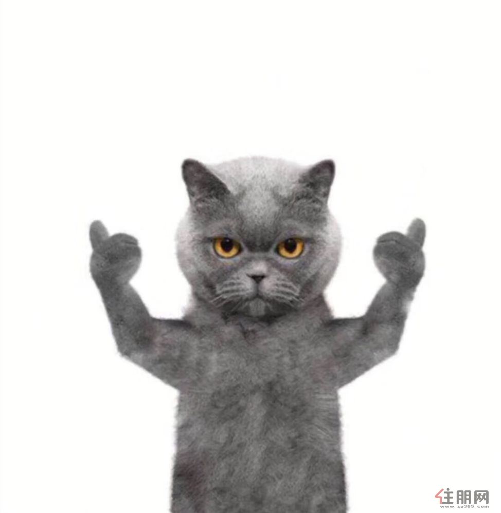 江南区 金色蓝湾 4房 家具全齐 环境安静 近大润发