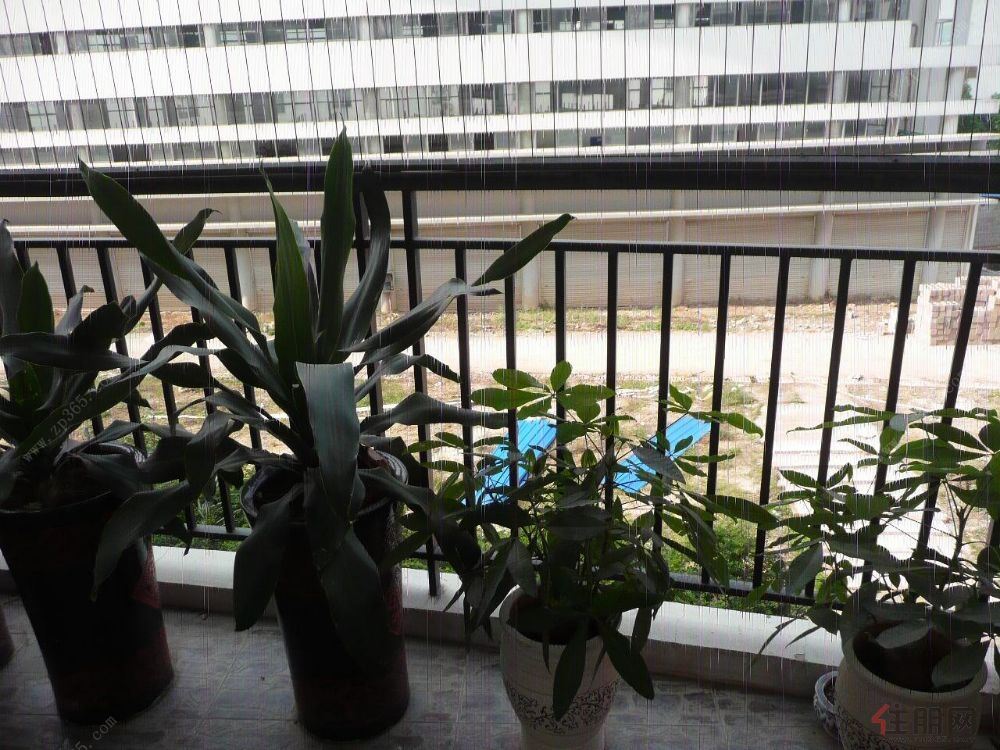 业主,品牌家具家电齐全,拎包入住民主东路同和华彩3室2厅2卫110平米