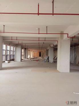 中鼎金投大厦写字楼出租（超长免租期）