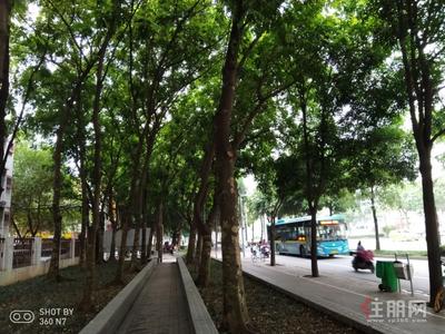 大学东路,广西大学大门口小房招租,嘉汇馨园小区