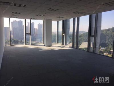 五象大道-215平纯写字楼（精装修）近地铁口 楼下有公园 宽敞明亮 五象新区总部基地金融街