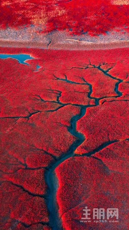 银泰城旁 单位房 3房1厅