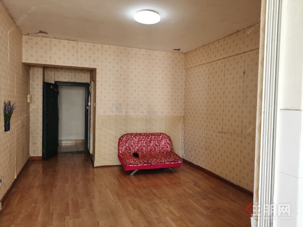 新民七星路口王府井楼上,华星时代广场雅仕阁单间配套公寓,商住两用