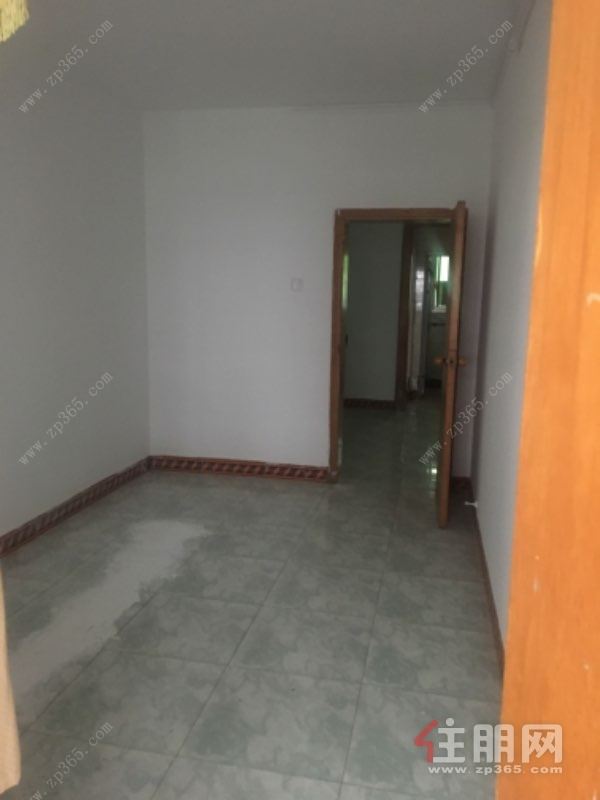 水文队大院黄金三楼南北通透干净卫生