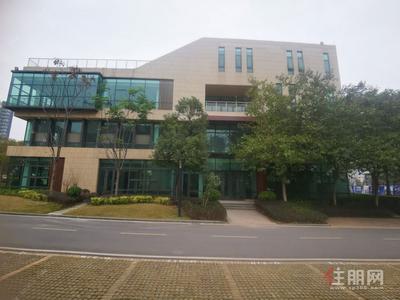 那洪大道 -4号线地铁口 一企一栋 独栋办公 面积1000平 租金80元每平精装修交付