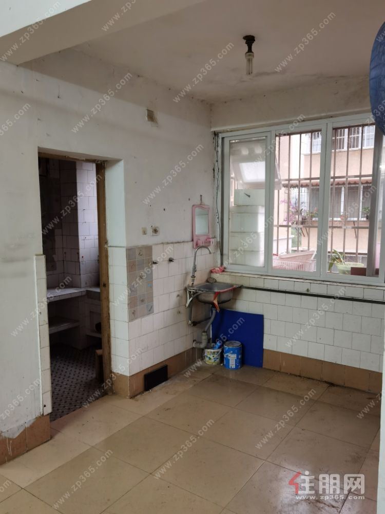 三房两厅一厨一卫房屋出租