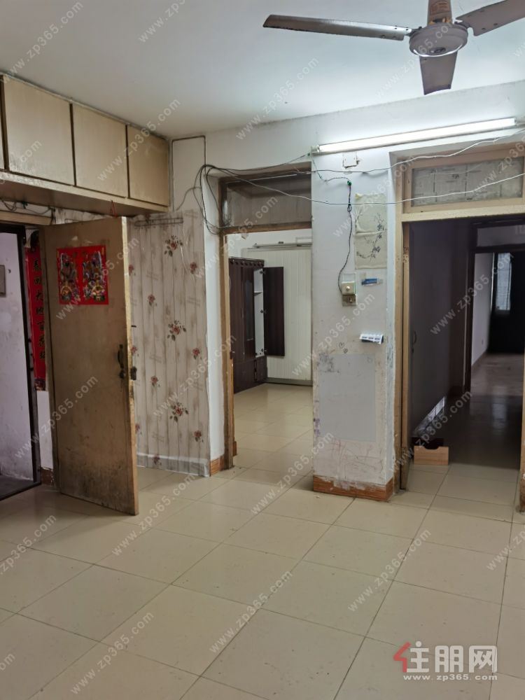 三房两厅一厨一卫房屋出租