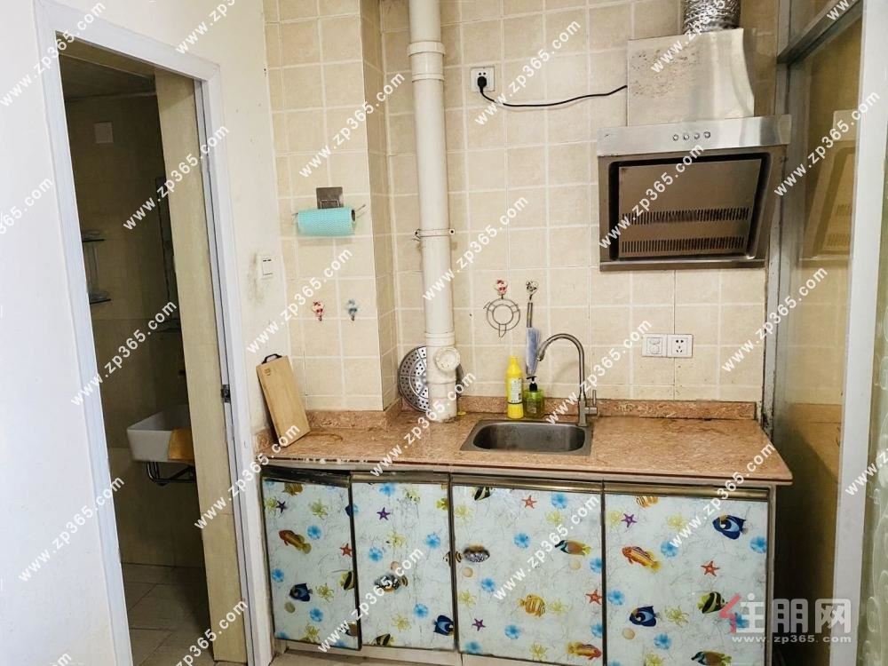 900一月 市中心 中宜尚品 精美公寓房 拎包住