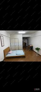 朝阳中心-底价出租1室南中等装修采光好拎包随时就可以入住