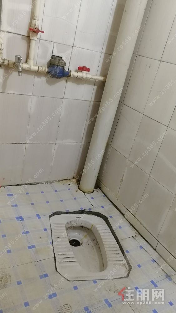 自建房屋一房一厅出租