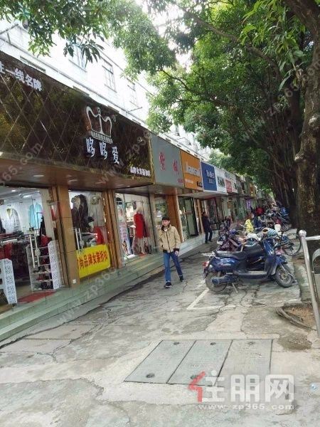 南宁市北湖路南棉生活区 2室1厅60平米