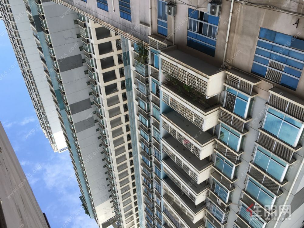 朝阳商圈,交通便利;户型方正,商住两宜。