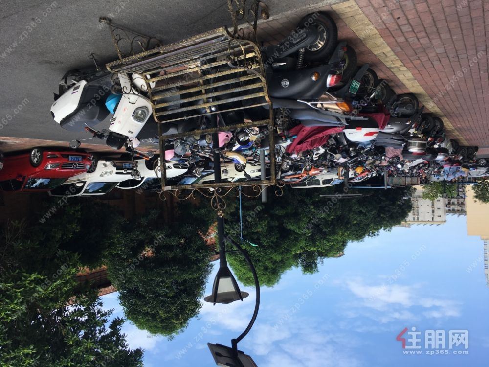 朝阳商圈,交通便利;户型方正,商住两宜。