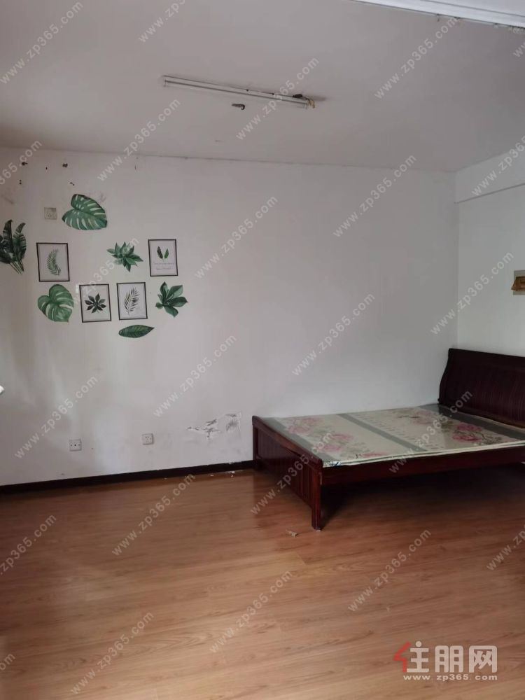 单间配套一房一厅一卫一阳台出租