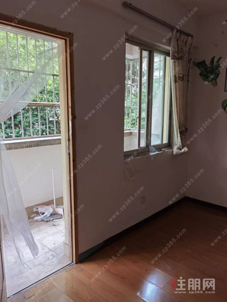 单间配套一房一厅一卫一阳台出租