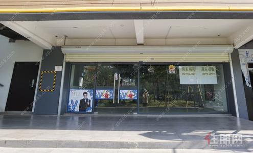 凤岭北，枫林路6号凤岭春天商业街临街商铺招租