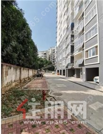 青秀金湖片区 区侨办小区 140平3房2厅2卫出租