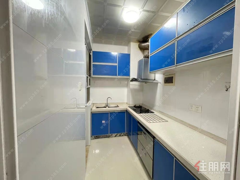 东盟商务区精装四房出租