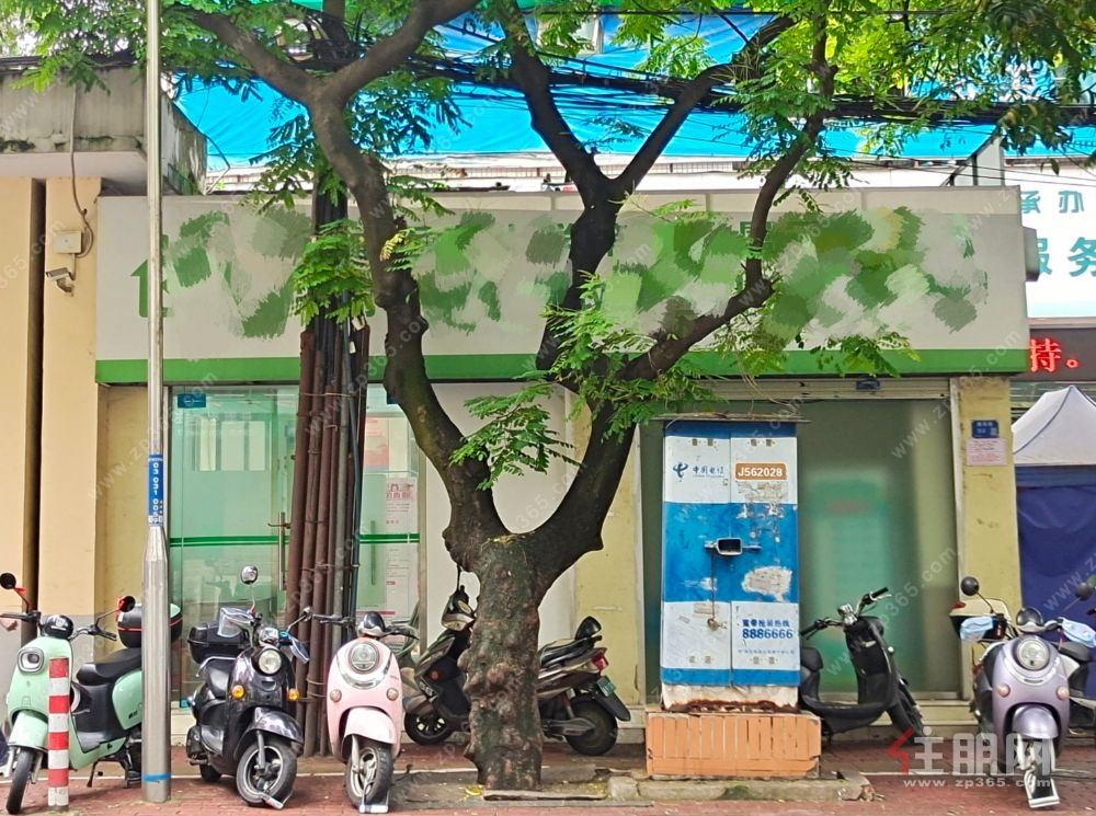 建政路十四中旁临街旺铺