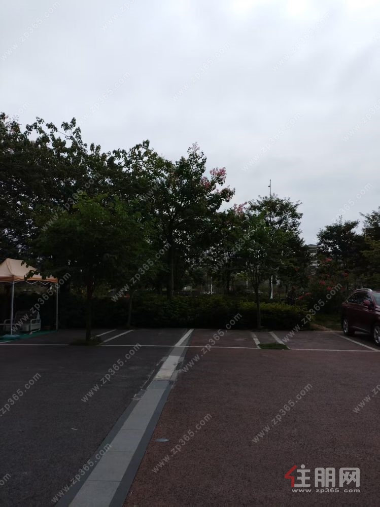 南宁三中五象校区对面彰泰府65平门面出租