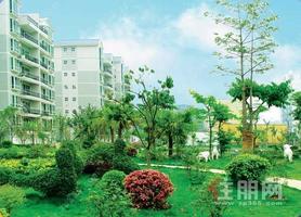 高新苑西乡塘优质住宅出租