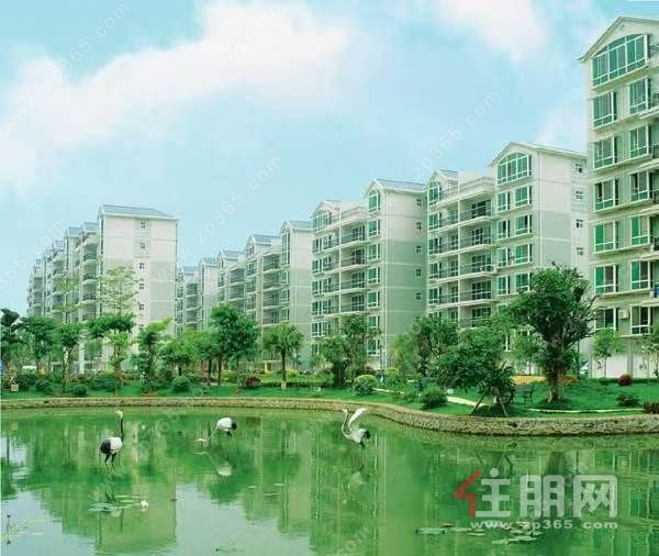 高新苑房屋建筑面积165.5