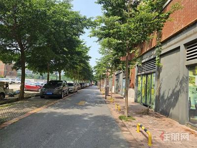 江南大道-江南 C 位5 8.54㎡宝藏铺！西派澜岸好铺开发商直租，仅30元/㎡/月好铺快冲不等人～