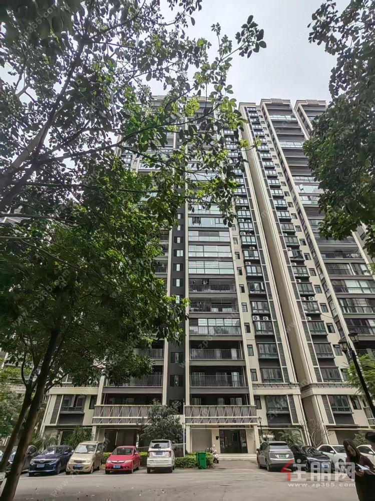 新港家园57㎡温馨公寓，月租1000元，设施齐全，随时入住享便利