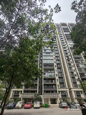 新港家园57㎡温馨公寓,月租1000元,设施齐全随时入住享便利