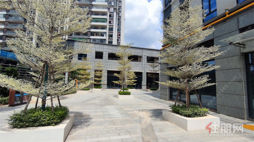 地铁 3 号线零距离！青湖苑92㎡地铁口临街旺铺火热出租