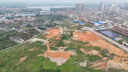 武鸣区-南宁市武鸣区双桥镇坛都村工职院对面1472亩地块