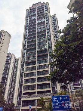 新港家园