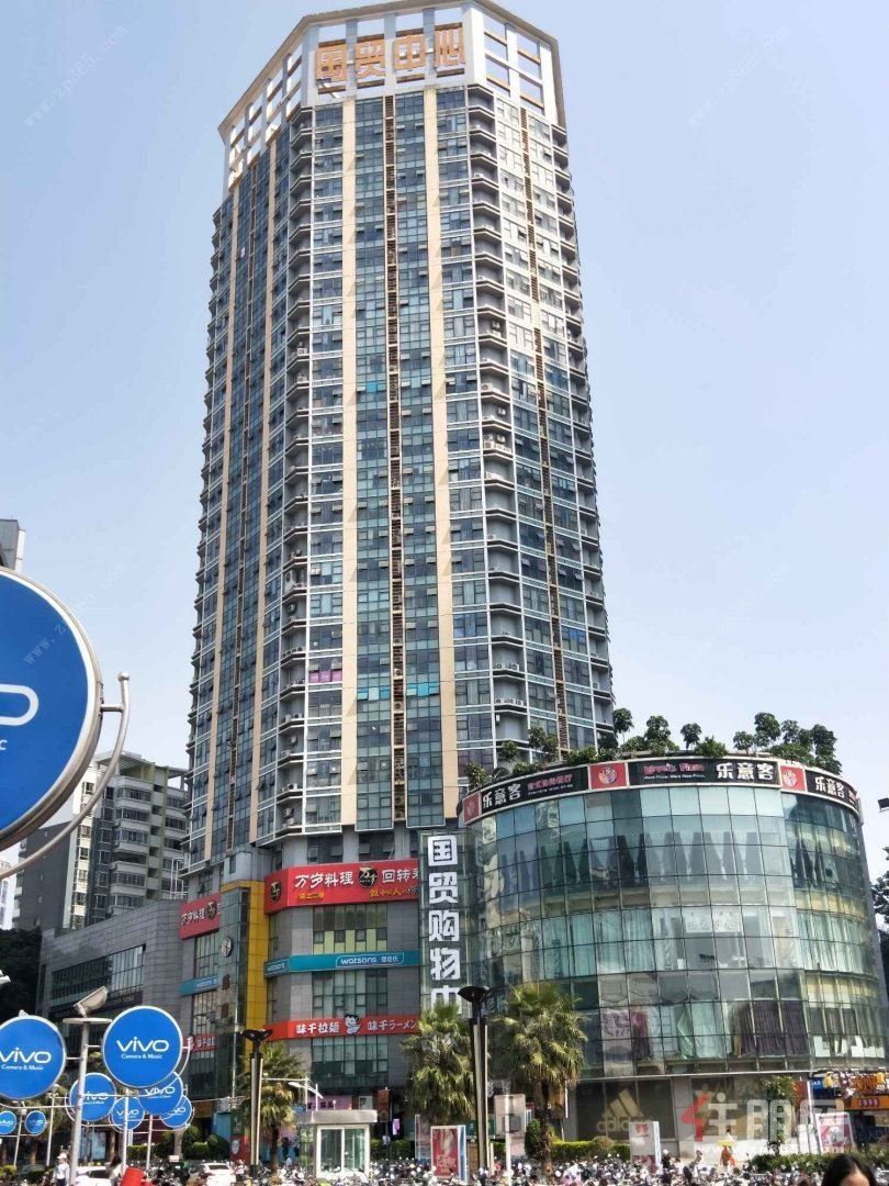读新民二中 市中心 一二号线地铁 丽原天际对面 国贸1房
