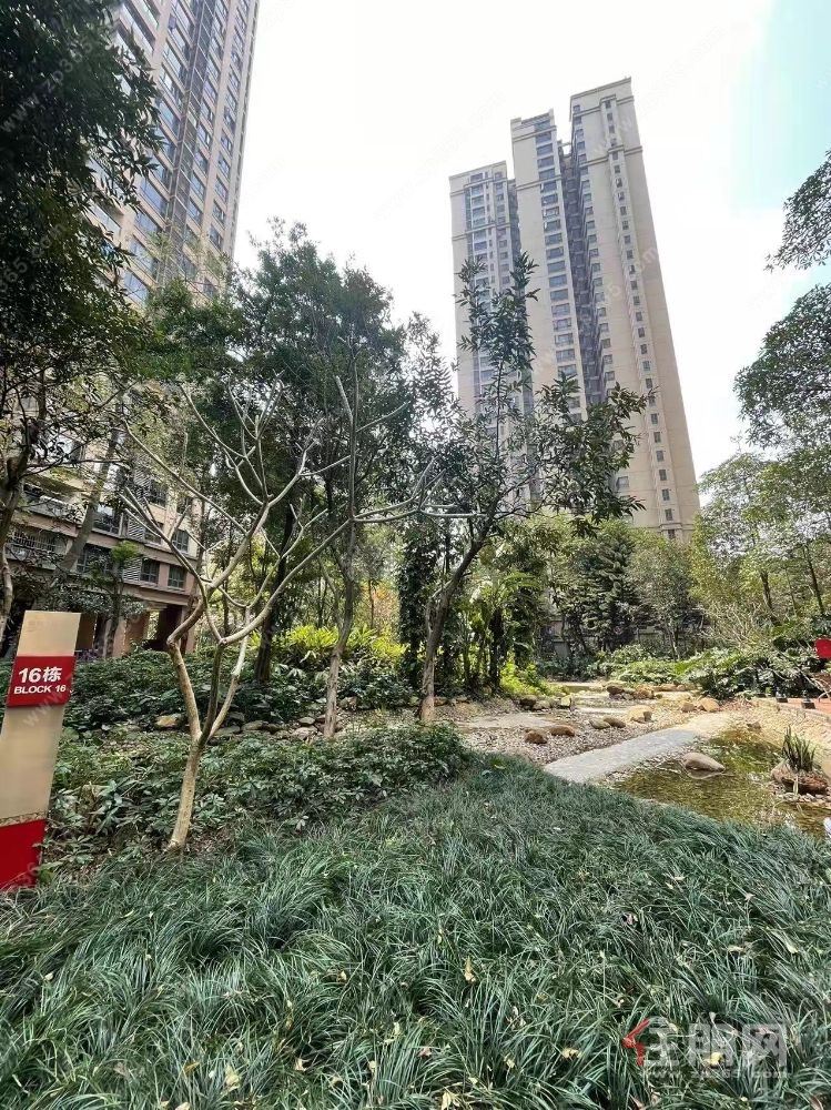 荣和山水绿城114平满五**总价102万业主净收